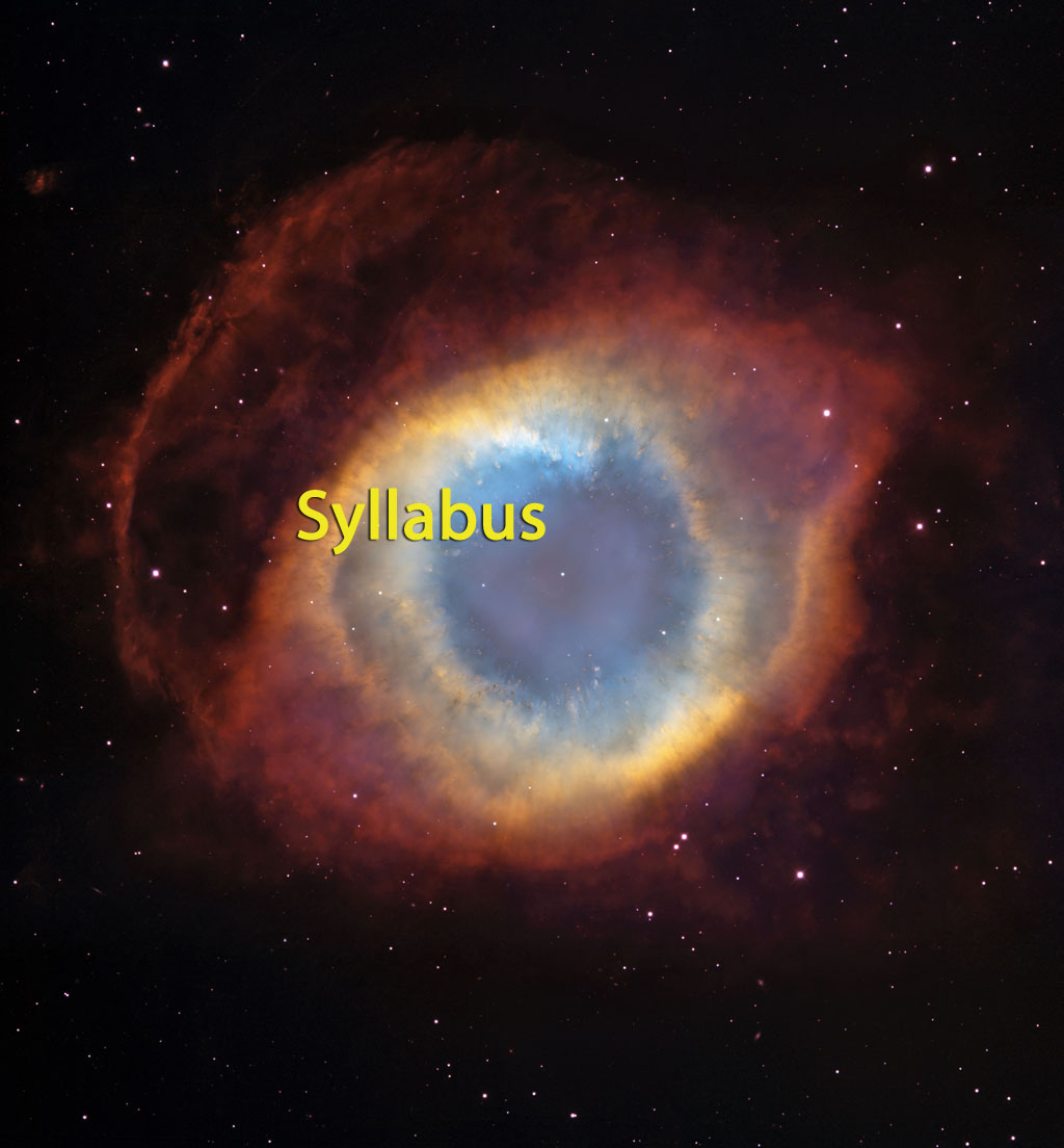 シラバスへのリンク